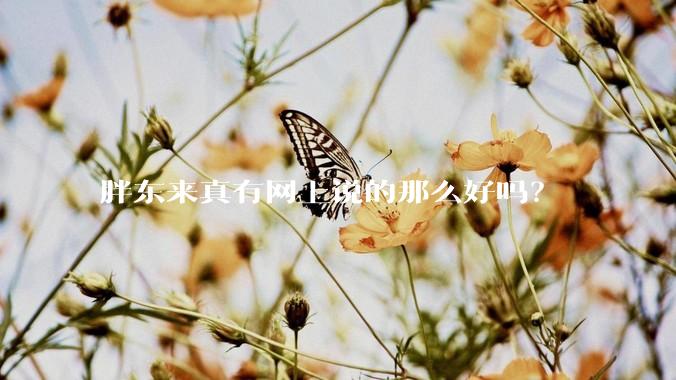 胖东来真有网上说的那么好吗？
